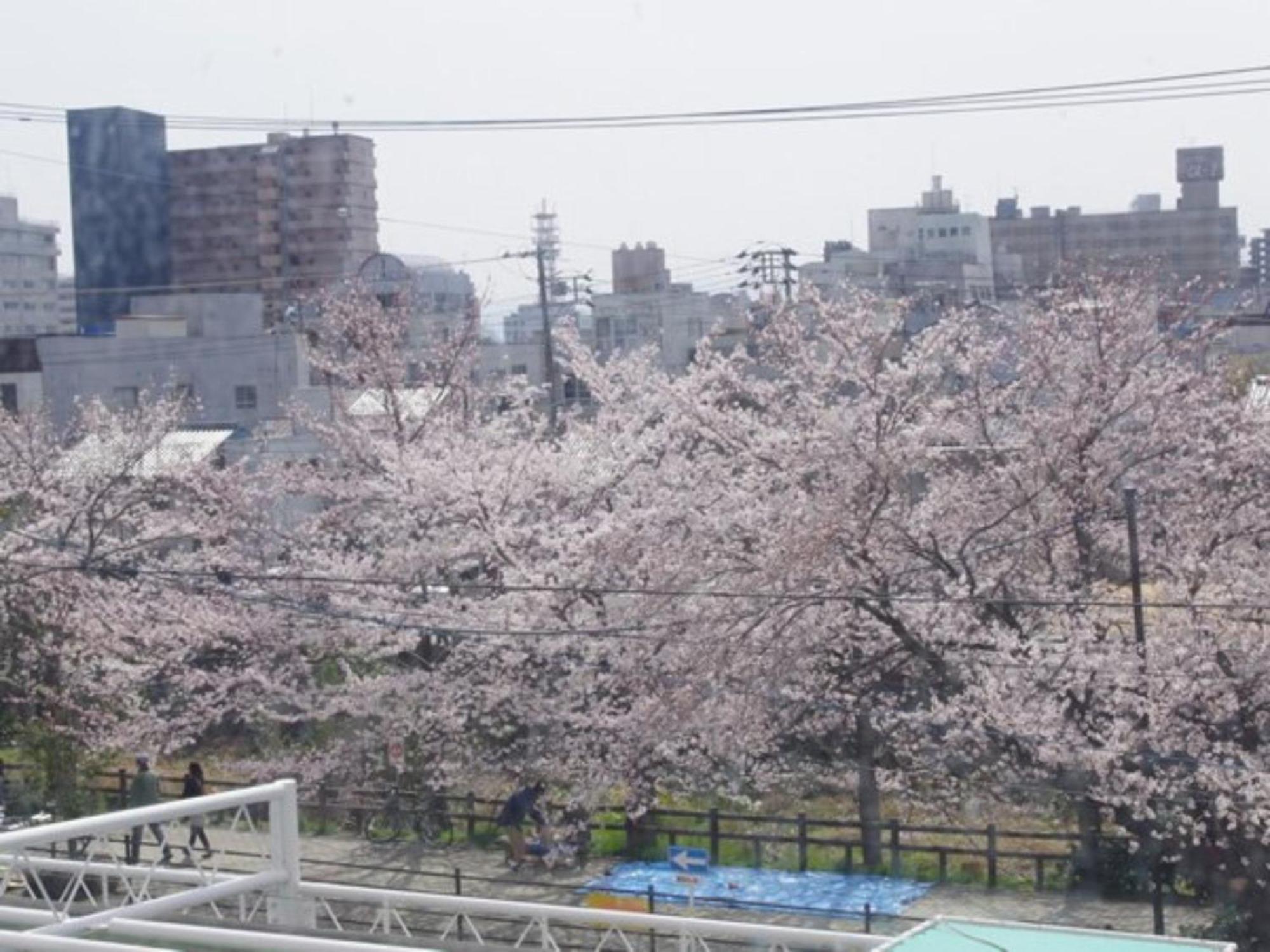 Tottori City Hotel / Vacation Stay 81359 المظهر الخارجي الصورة
